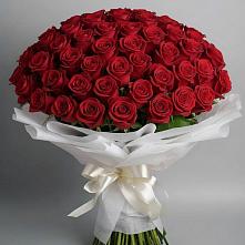 Букет 101 Красная роза Блэк Мэджик в Геймановской