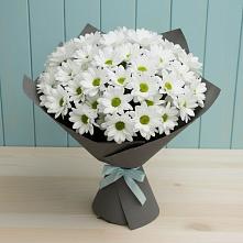 Букет цветов из:  Хризантемы #REPLACE_PRED# Геймановской