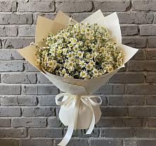 Букет цветов из:  Ромашки #REPLACE_PRED# Геймановской