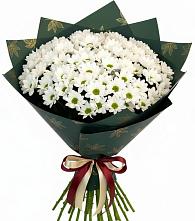 Букет цветов из:  Хризантемы #REPLACE_PRED# Геймановской